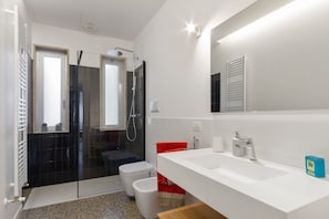 Shower, hair dryer, bidet, towels