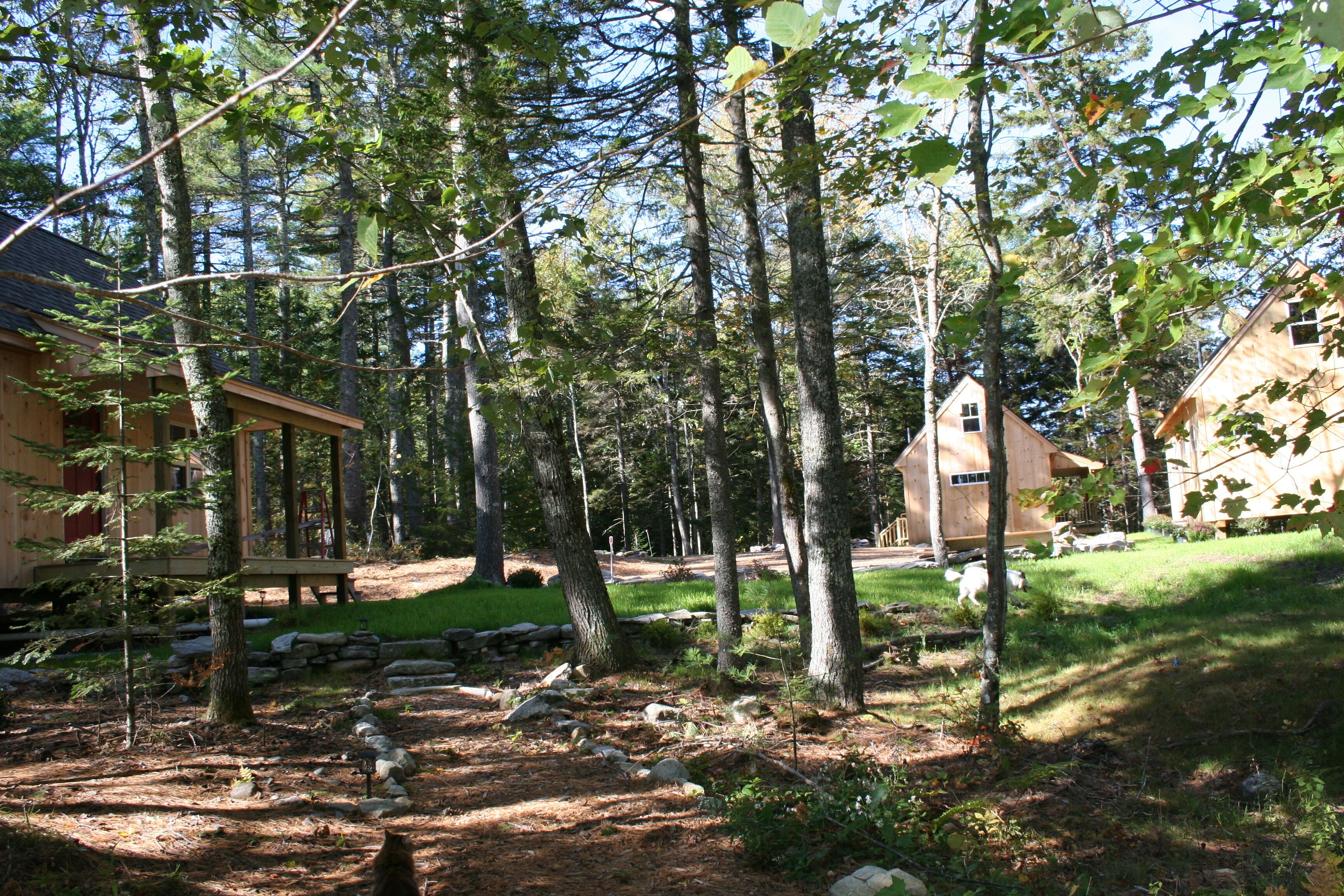 Une cabane entourée d’une forêt, avec un mur en pierre et une terrasse en bois.