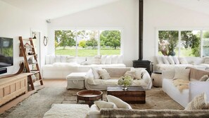 TV, video games, Netflix, books