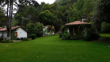Jardín