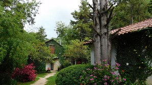 A rustic house with a stone facade, surrounded by lush greenery and a gravel path leading to the entrance. - San Nicolás Rotamundos (San Cristóbal de las Casas)