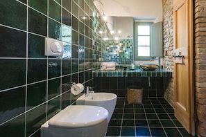 Shower, hair dryer, bidet, towels