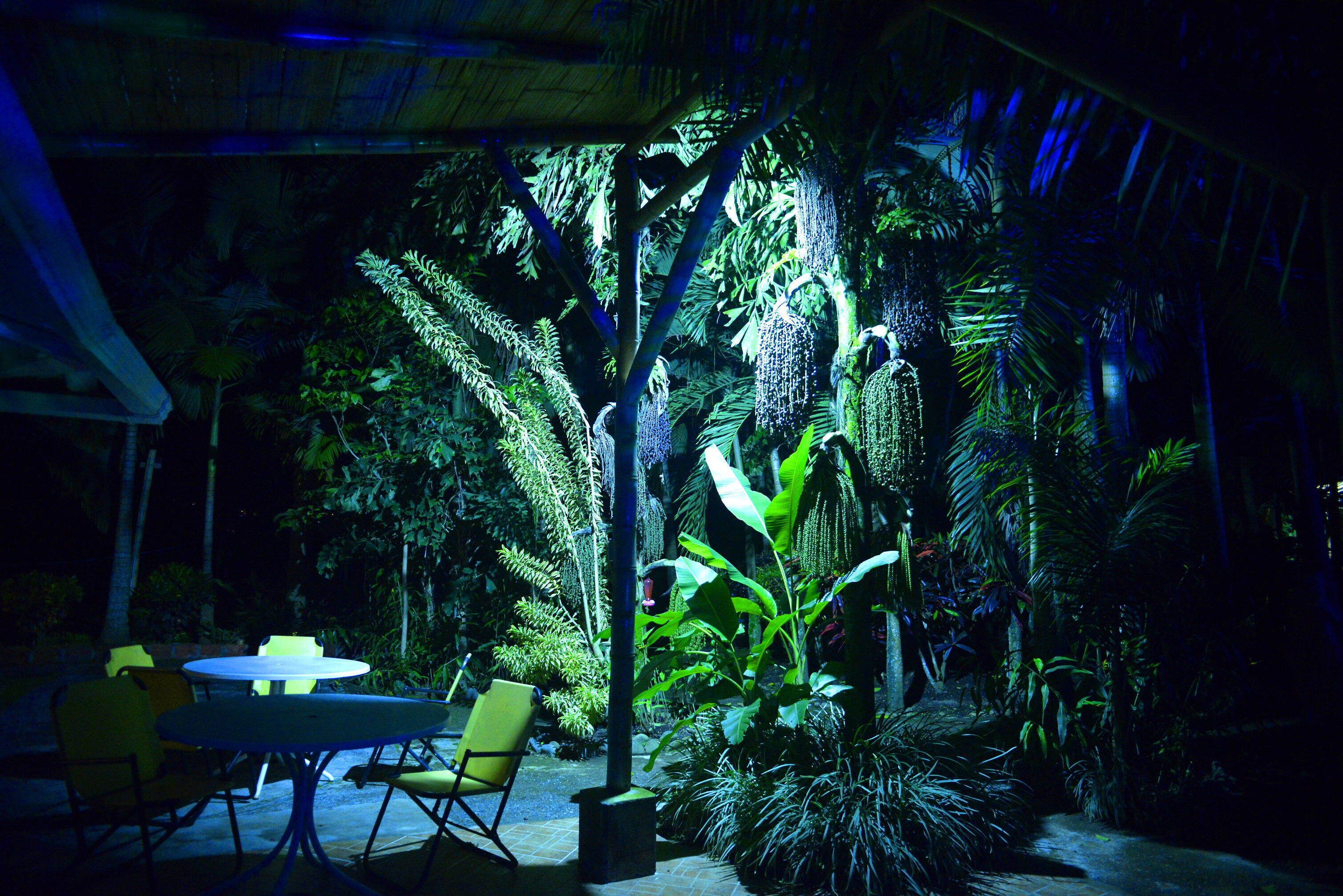 Complete house with lush vegetation, hot water Jacuzzi for 12 people