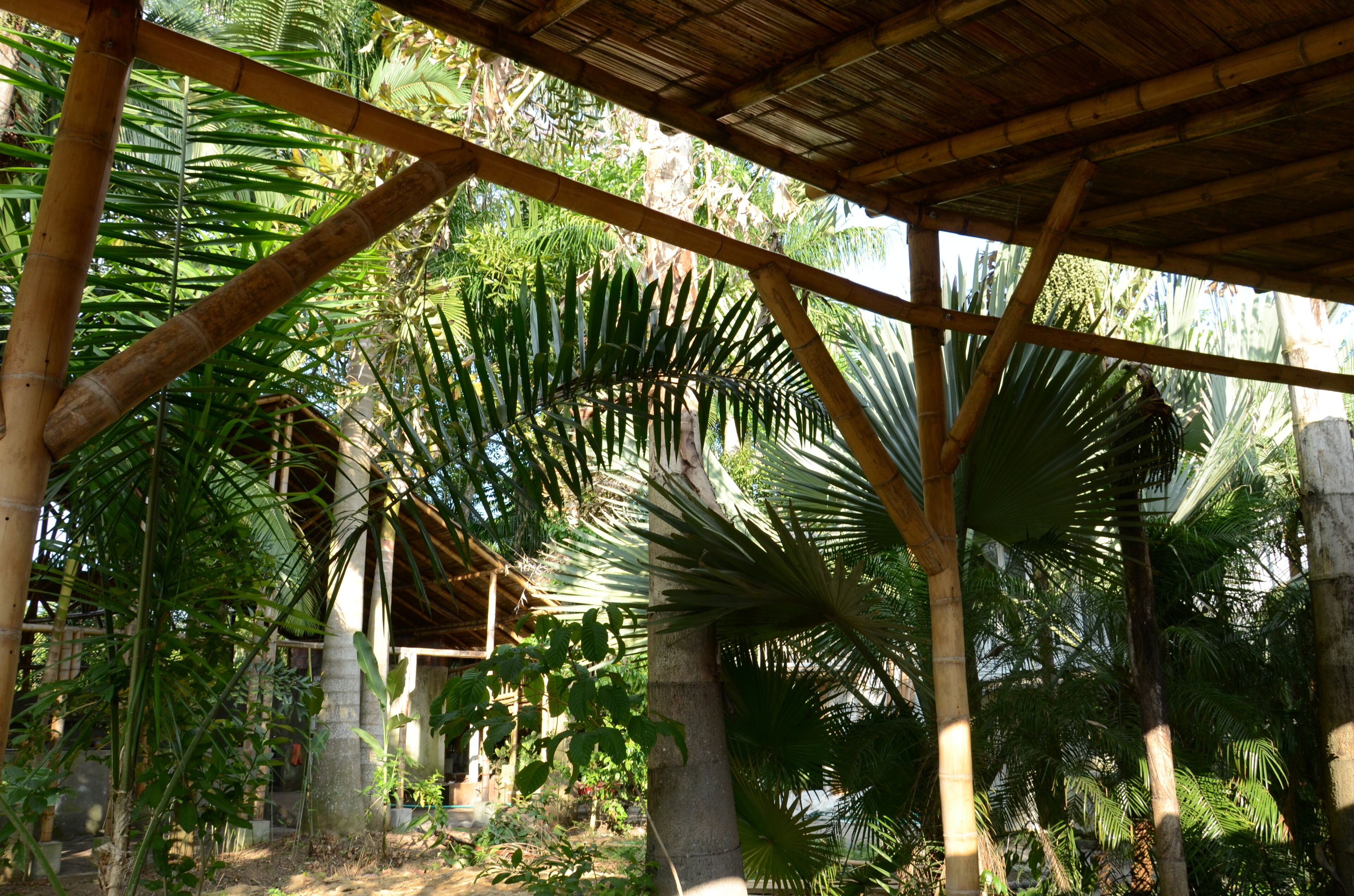 A covered outdoor area with bamboo structures and palm trees.
