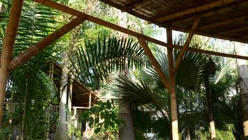A covered outdoor area with bamboo structures and palm trees.