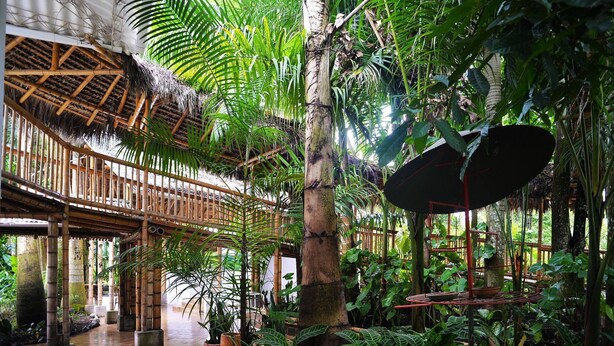 An indoor atrium with a bamboo structure, potted plants, and a hanging chair. - Complete house with lush vegetation, hot water Jacuzzi for 12 people (Santagueda Palestina Caldas)