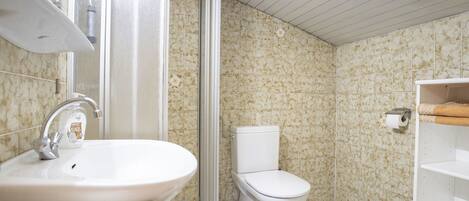 A bathroom with a sink, toilet, and shower.
