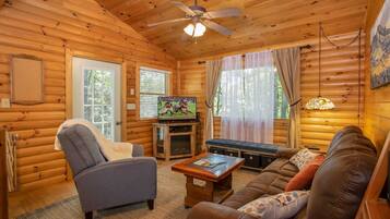 Télévision, cheminée, jeux vidéo, lecteur de DVD