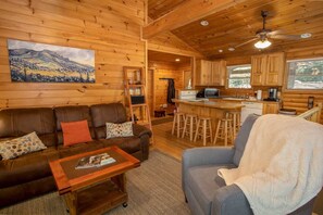 Fernseher, Kamin, Videospiele, DVD-Player