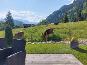 Unterkunftsgelände
