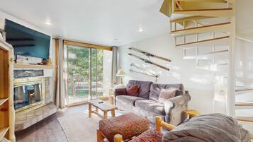 TV, fireplace, DVD player, books