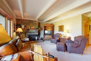 TV, fireplace, DVD player