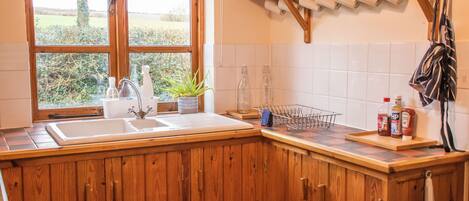 Cabin | Private kitchen | Fridge, microwave, oven, stovetop