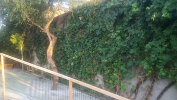 Overnatningsstedets område