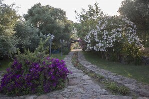 Parco della struttura