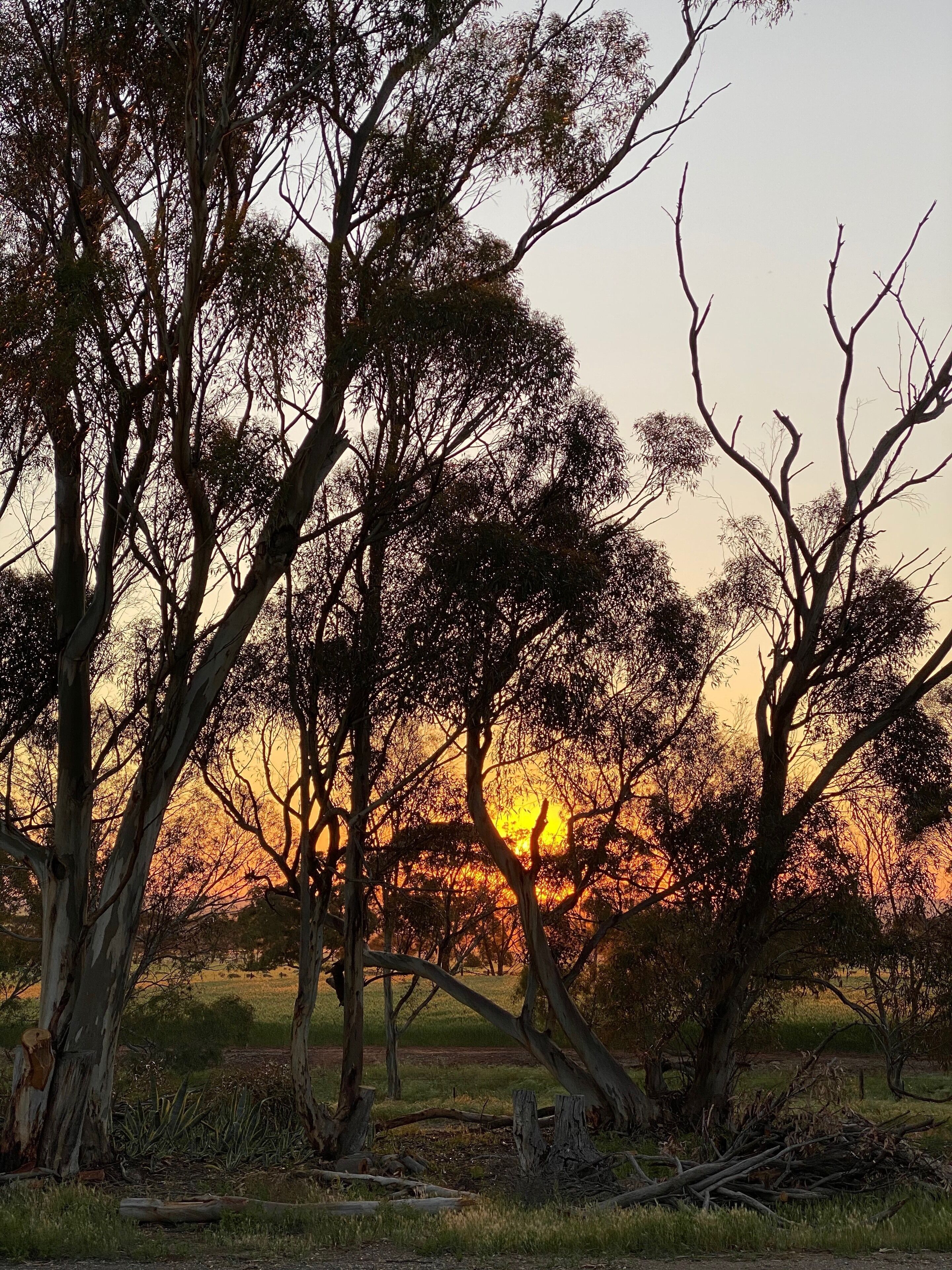 Lorondale Homestead — image 20