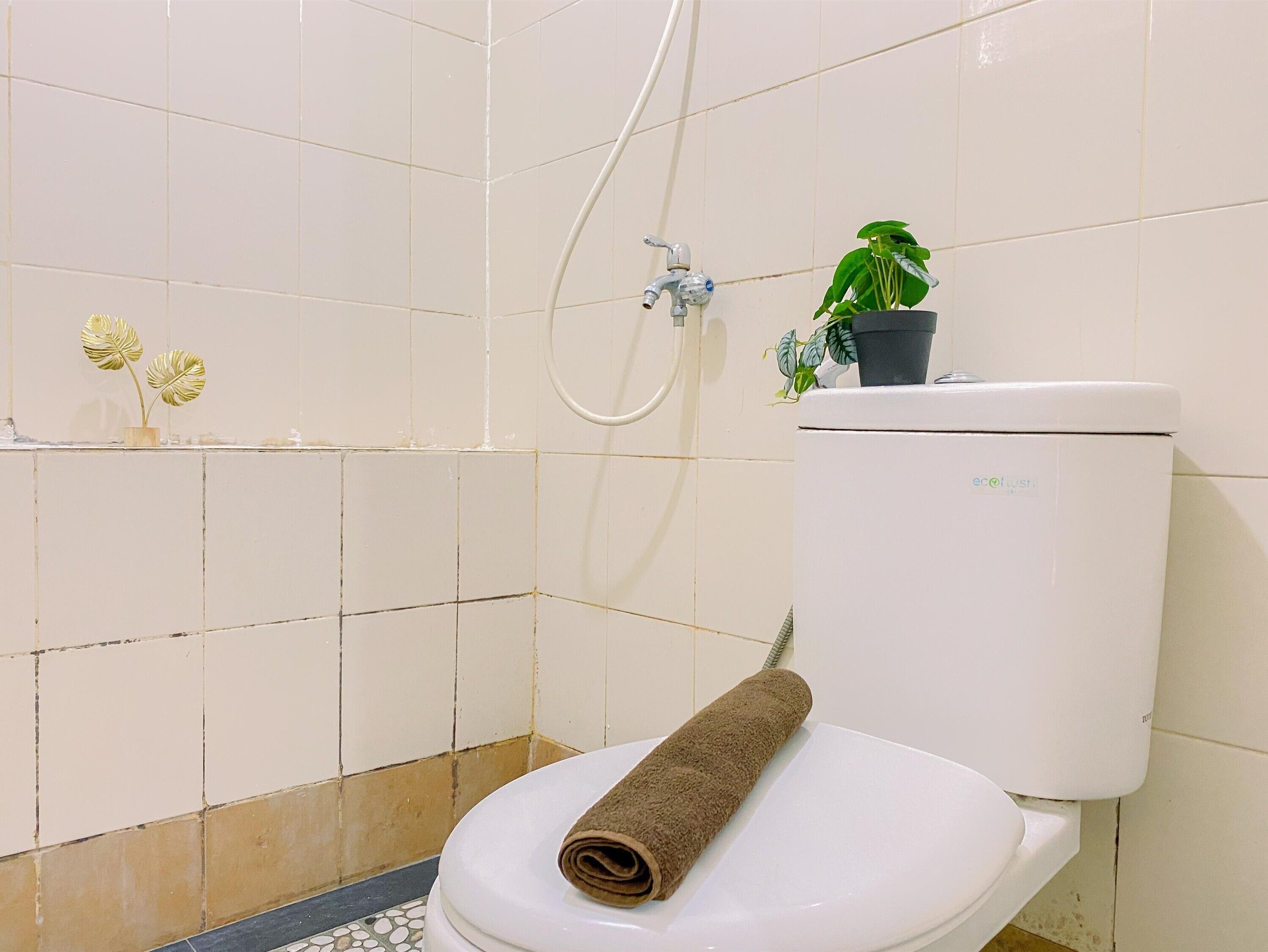 A bathroom with a toilet, a shower, and a potted plant on the wall.
