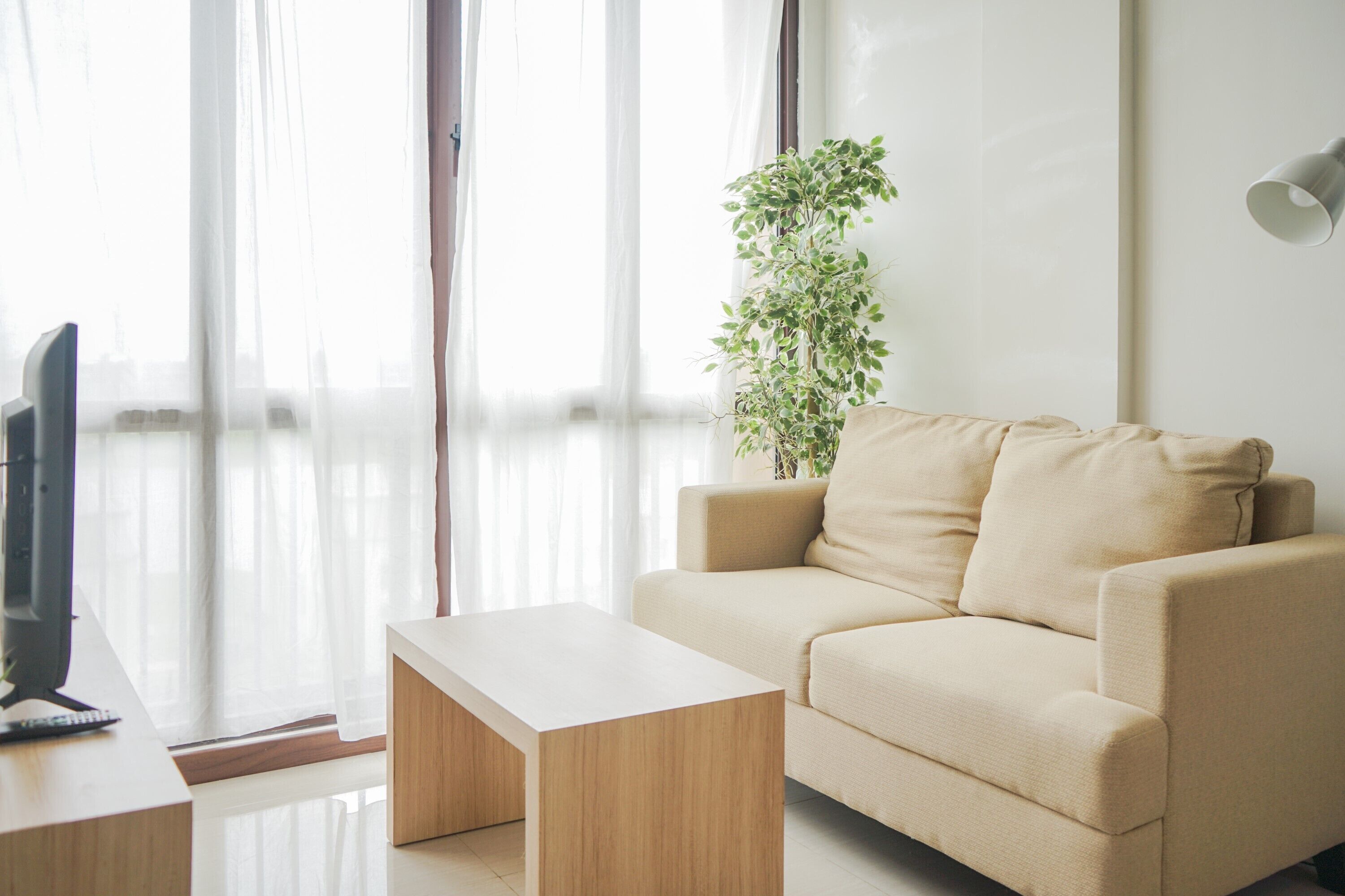 A modern living room with a beige sofa, a wooden coffee table, and a potted plant.