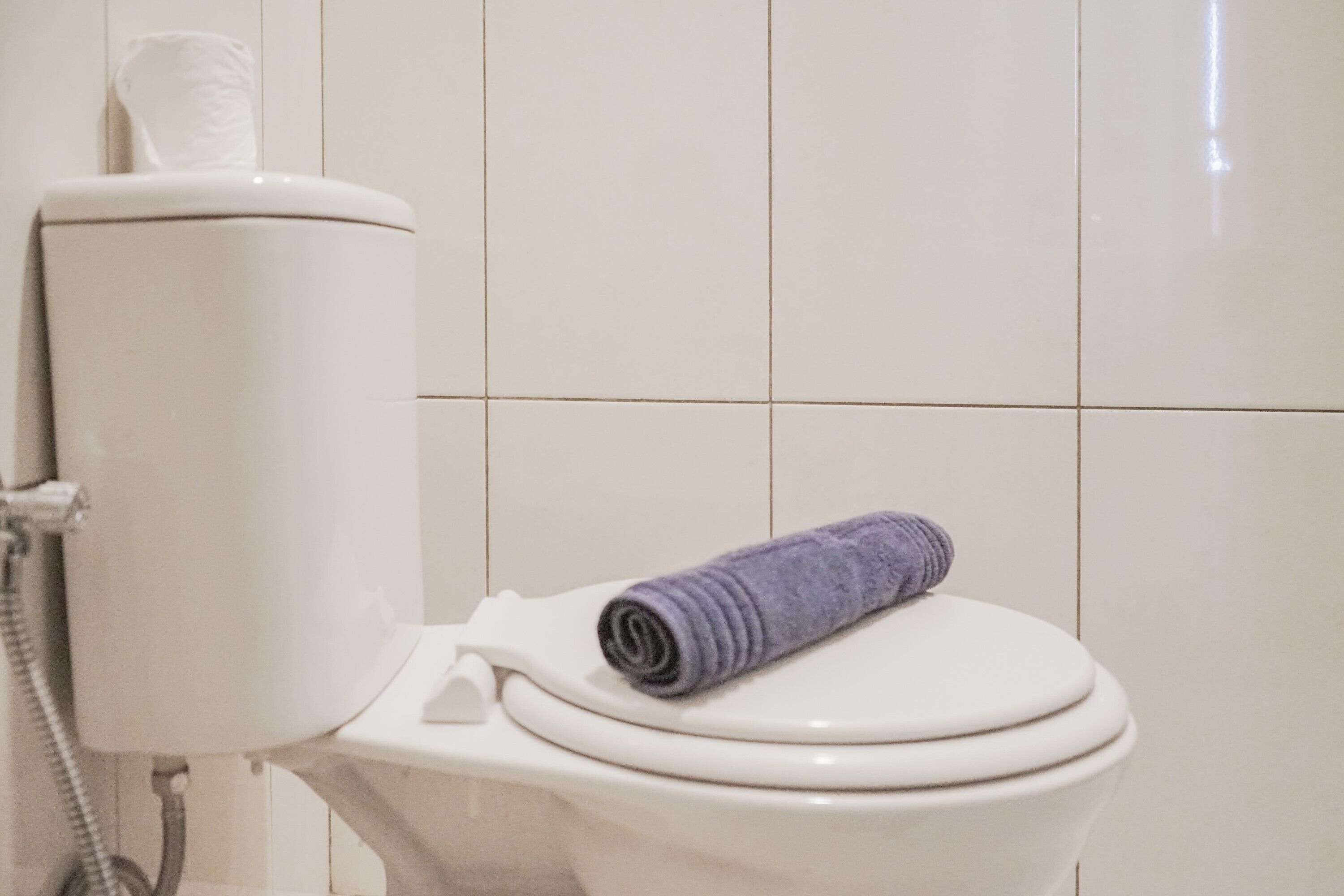 Des toilettes avec une serviette enroulée posée sur le couvercle et un porte-rouleau de papier toilette fixé sur le réservoir.