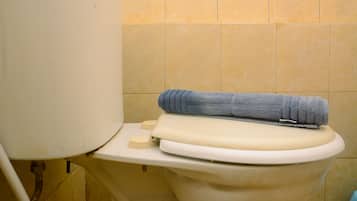 Room | Bathroom | Shower, towels