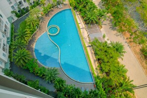 Vue aérienne d’une piscine entourée de palmiers et bordée d’une allée pavée.
