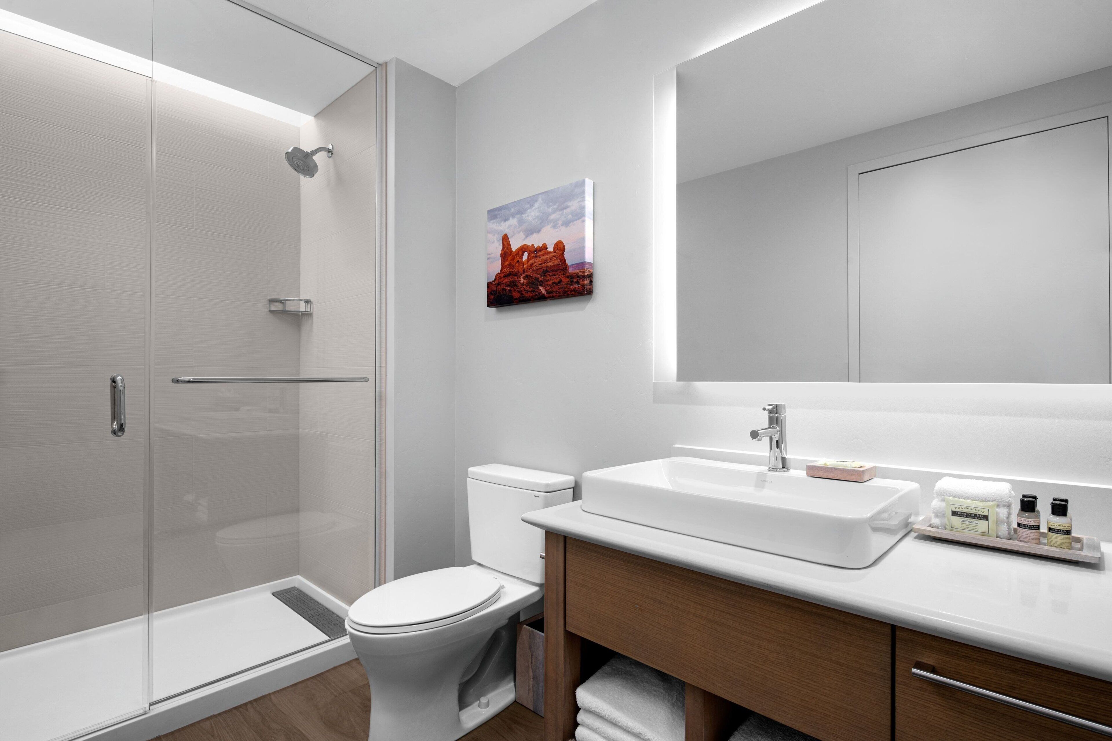 hair dryer, towels, soap, shampoo