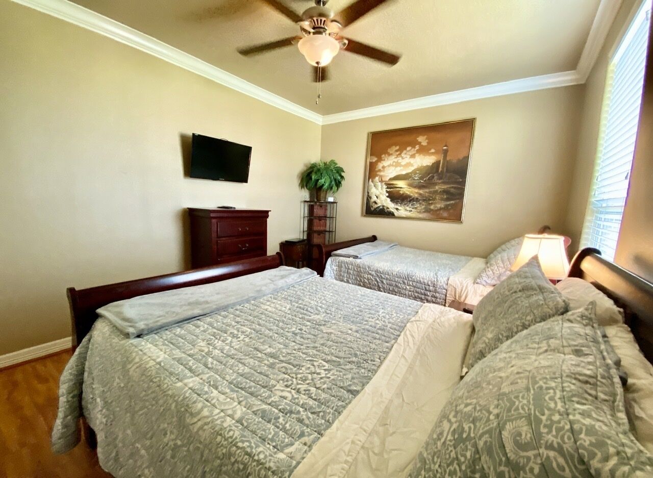 A bedroom with two beds, a ceiling fan, a TV, a plant, and a painting on the wall.