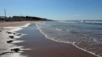 Beach nearby, sun loungers