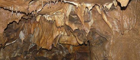 A cave interior with stalactites hanging from the ceiling and stalagmites rising from the ground.