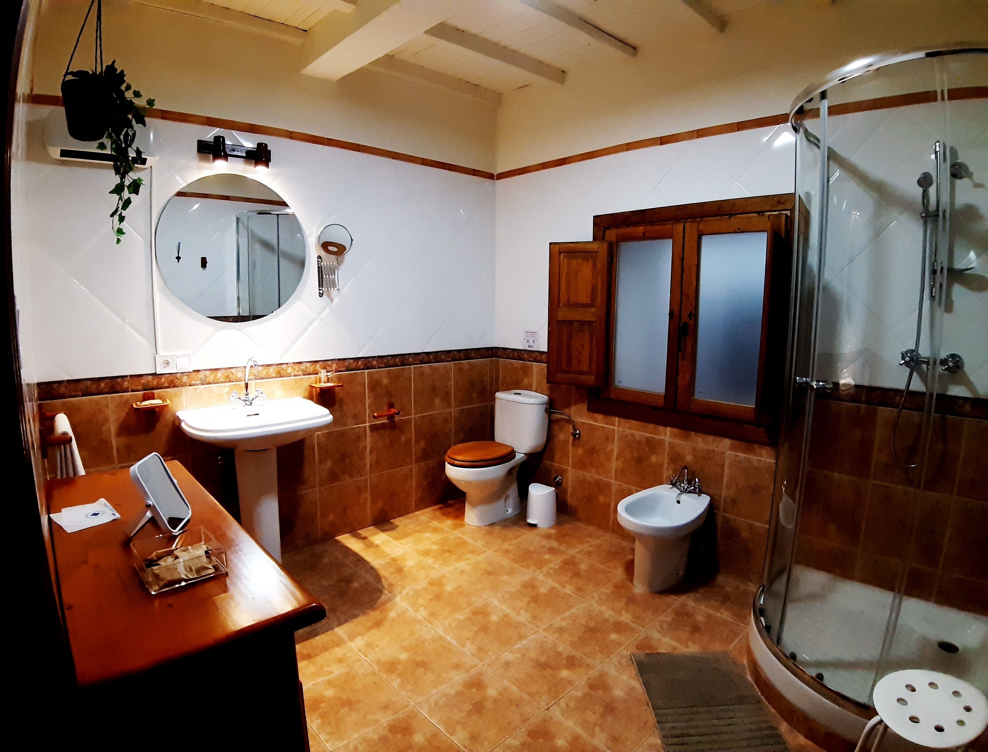 Bathtub, hair dryer, bidet, towels