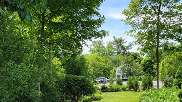 A well-maintained garden with a variety of plants and a lawn, leading to a white house with a visible driveway.