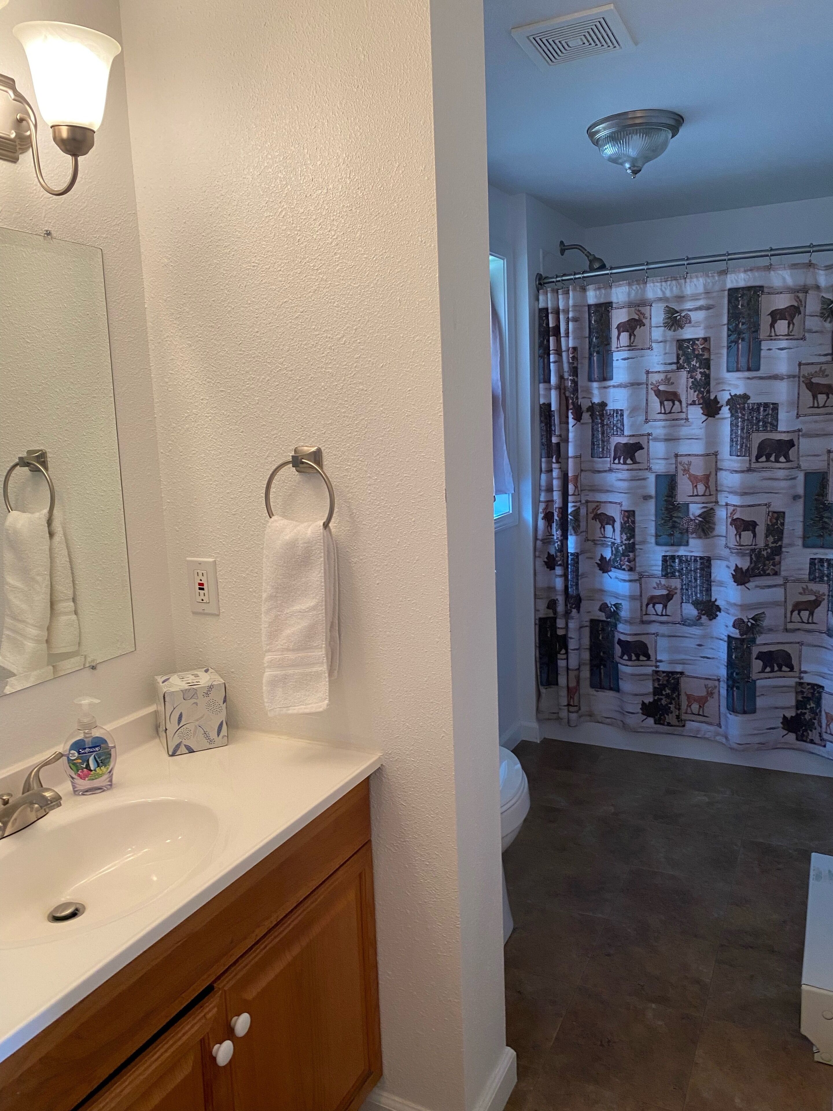 Combined shower/tub, hair dryer, towels, toilet paper