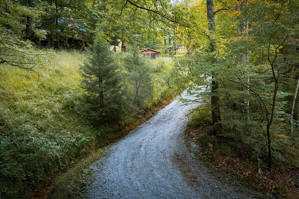 Un sendero de grava atraviesa un bosque con una cabaña pequeña al fondo.