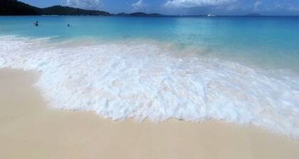 Tropical Palm Villa- Ocean Views From All Rooms, Solar Power, Private Pool