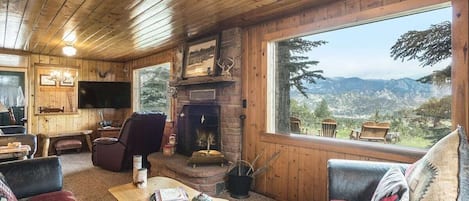 Televisión, chimenea y reproductor de DVD