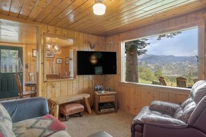 TV, peis og DVD-spiller