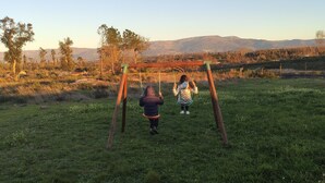 Un campo cubierto de hierba con un columpio y una persona columpiándose.