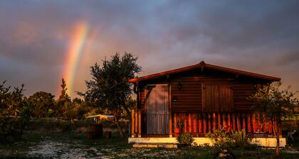 Mountain Bungalow with Pool in Serra da Estrela (up to 4 people)