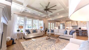 TV, fireplace, books