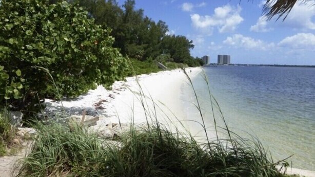 A beach with clear water, green vegetation, and distant buildings.