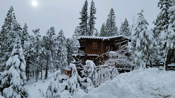 A wooden cabin surrounded by snow-covered trees.