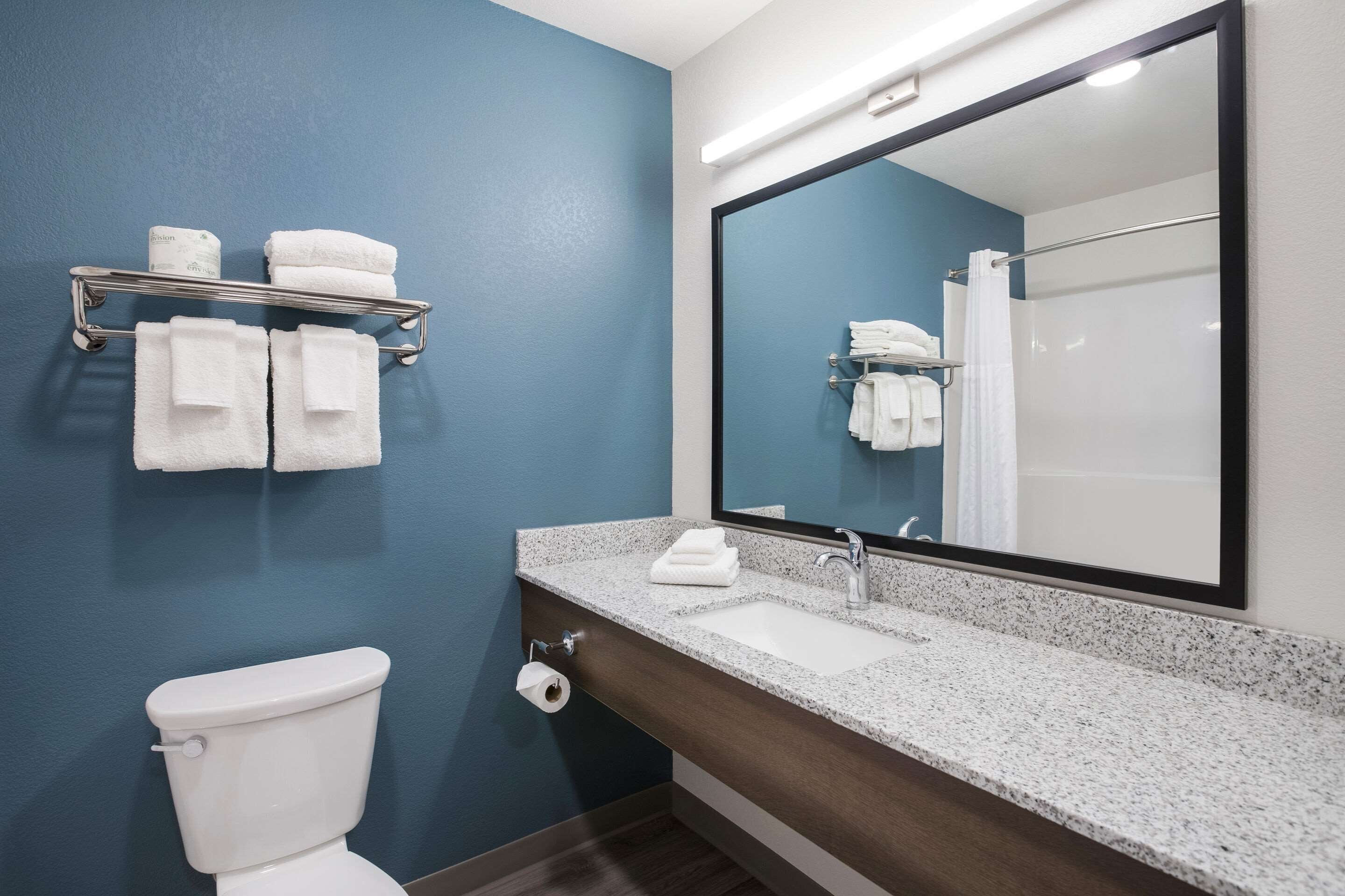 Hair dryer, soap, shampoo, toilet paper