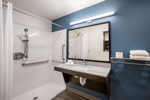 Secador de pelo, jabón, shampoo, papel higiénico