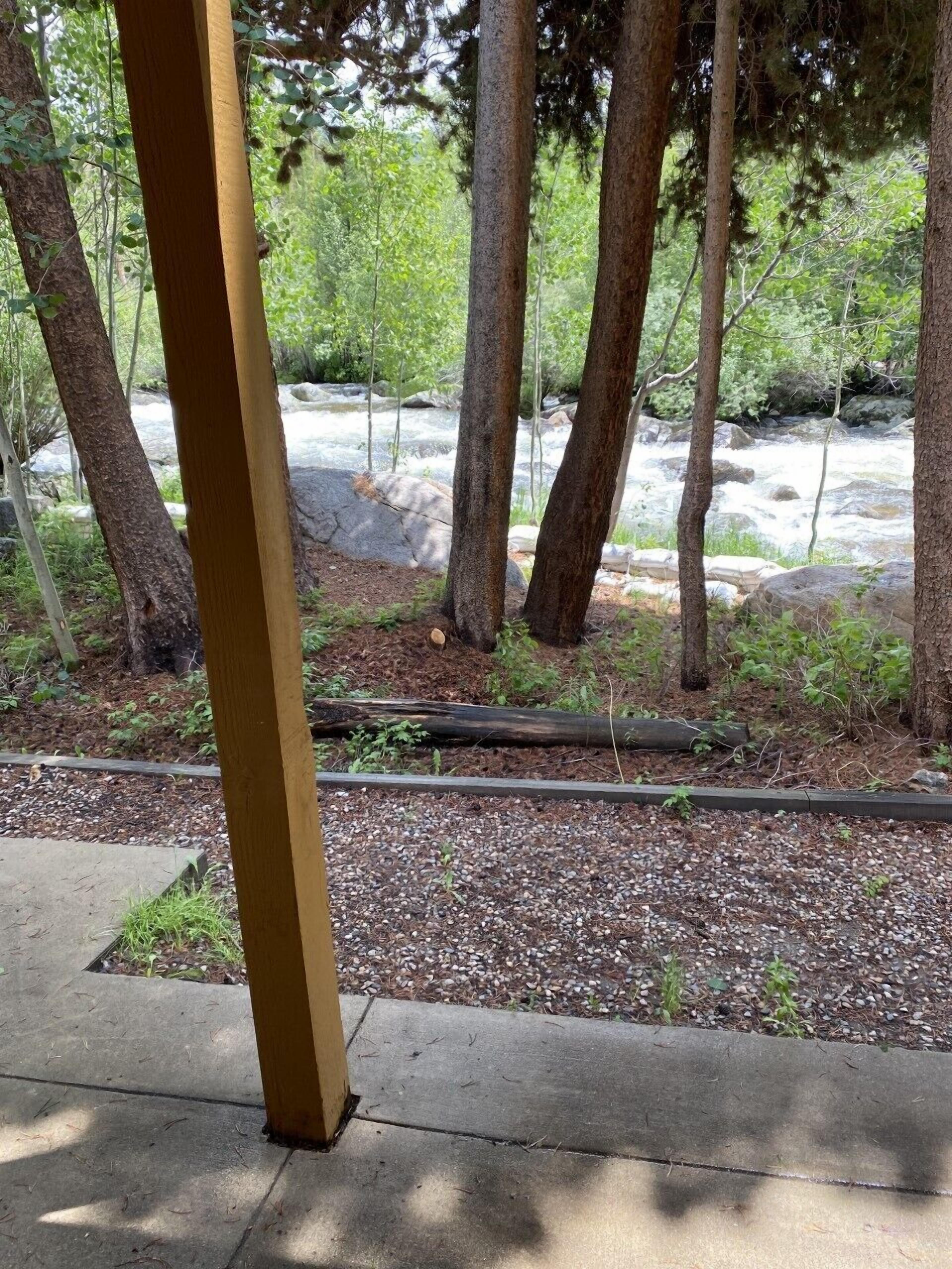 Enceinte de l’hébergement