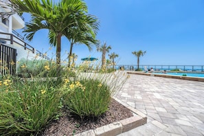 A poolside area with a clear view of the sea, surrounded by palm trees and yellow flowers.