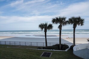 A beach view with palm trees and a grassy area in the foreground.