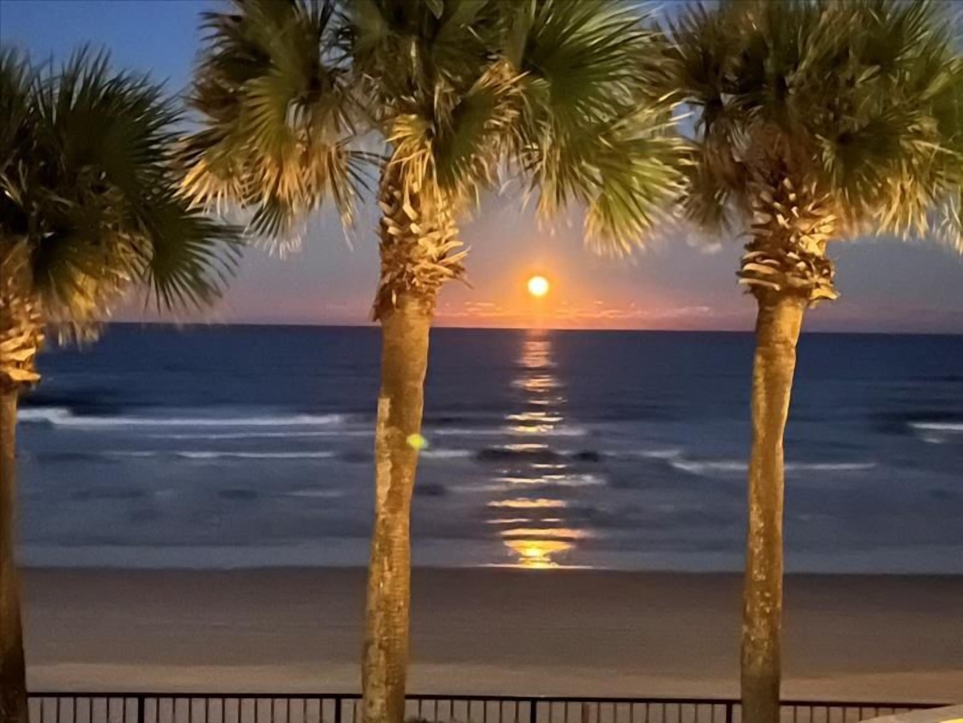 A sunset over the ocean with palm trees in the foreground.