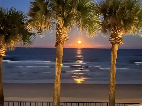 A sunset over the ocean with palm trees in the foreground.