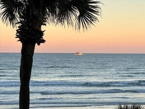A palm tree and a boat on the water during sunset.