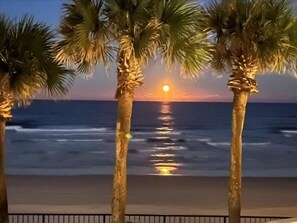 A sunset over the ocean with palm trees in the foreground.